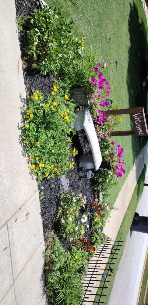 Professional yard maintenance in Greenville, SC by Zackary's Home Improvements