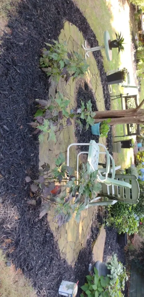 Affordable landscape installation for beautiful yards across Greenville, SC - Zackary's Home Improvements