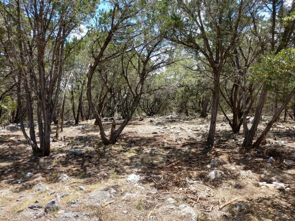 Affordable residential landscaping in Canyon Lake, TX - Zack's Landscaping