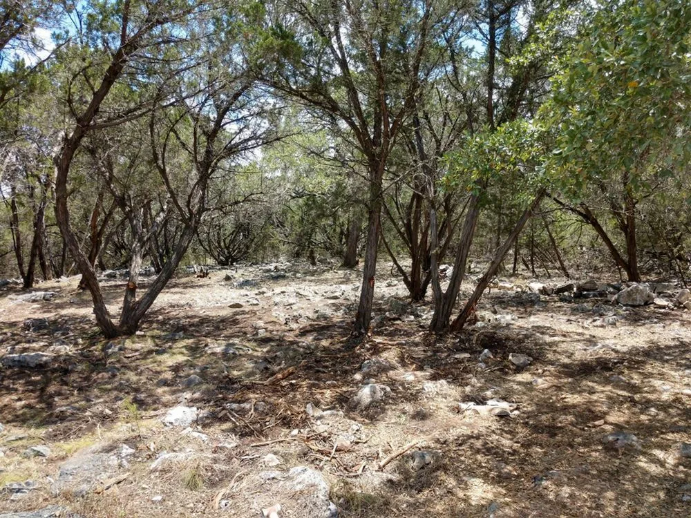 Top-rated landscape installation experts serving Canyon Lake, TX - Zack's Landscaping