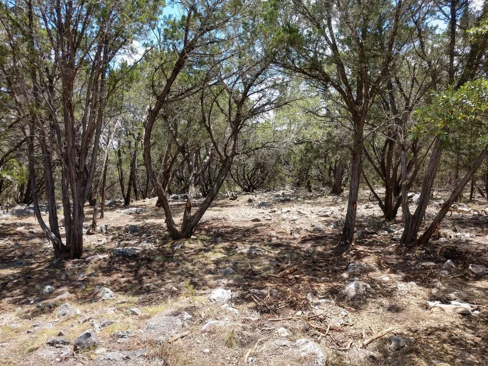 Top-rated outdoor landscaping in Canyon Lake, TX - Zack's Landscaping