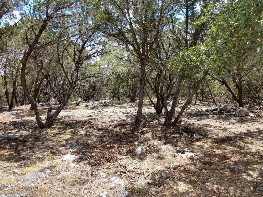 Affordable yard cleanup service in Canyon Lake, TX - Zack's Landscaping