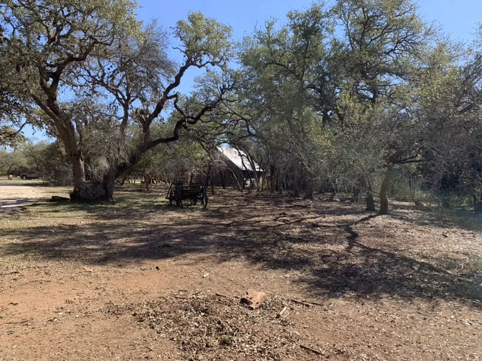 Custom landscape design for year-round maintenance in Canyon Lake, TX by Zack's Landscaping
