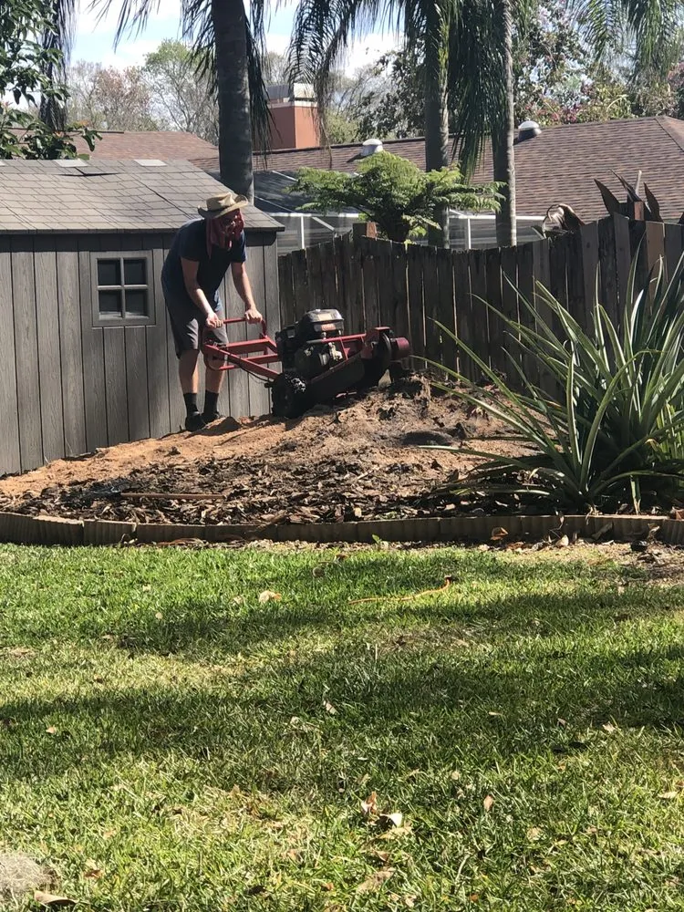 Local outdoor landscaping experts serving Carrollwood, FL - Zacks Lawn Care