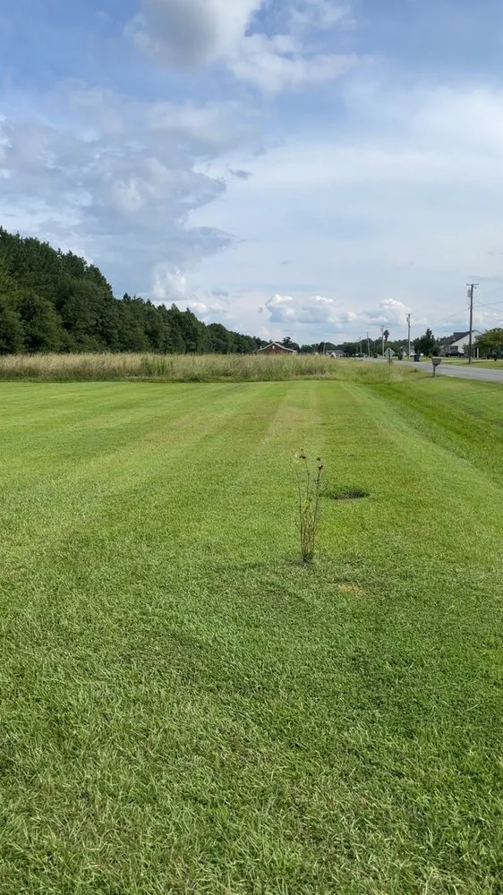 Top-rated landscape design for year-round maintenance in Fitzgerald, GA by Zack’s Lawn Care