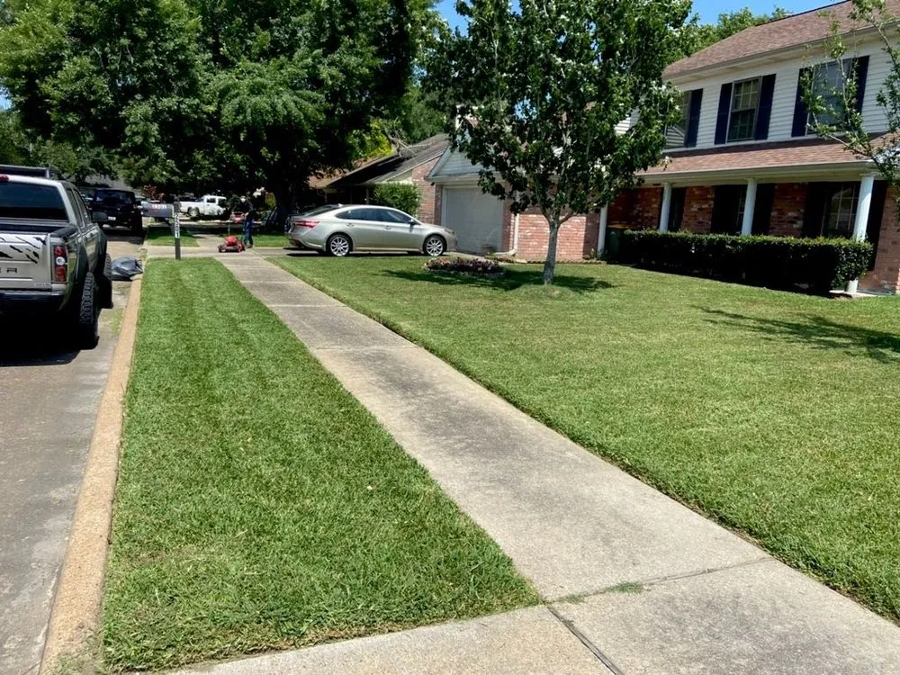Reliable yard cleanup service in Spring, TX by Zacks Lawn Service