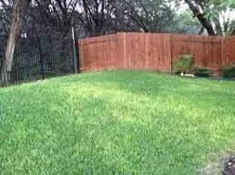 Local landscape design experts serving Spring, TX - Zacks Lawn Service