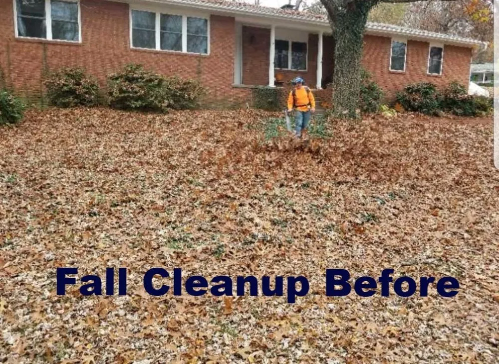 Custom residential landscaping near you across Fayetteville, AR - Zac's Lawn Care