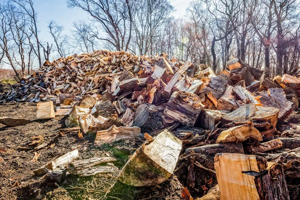 Trusted landscaping services near you across Manalapan, NJ - Zadlock Outdoor Services