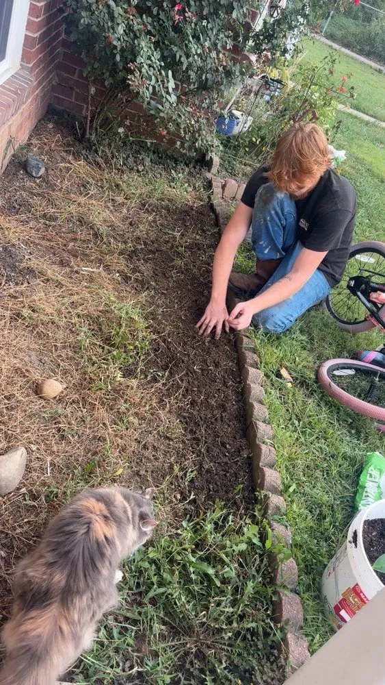 Professional residential landscaping in Saint Albans, WV - Zae’s Trusted Touch