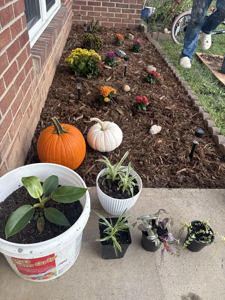 Affordable lawn care service for outdoor upgrades in Saint Albans, WV by Zae’s Trusted Touch