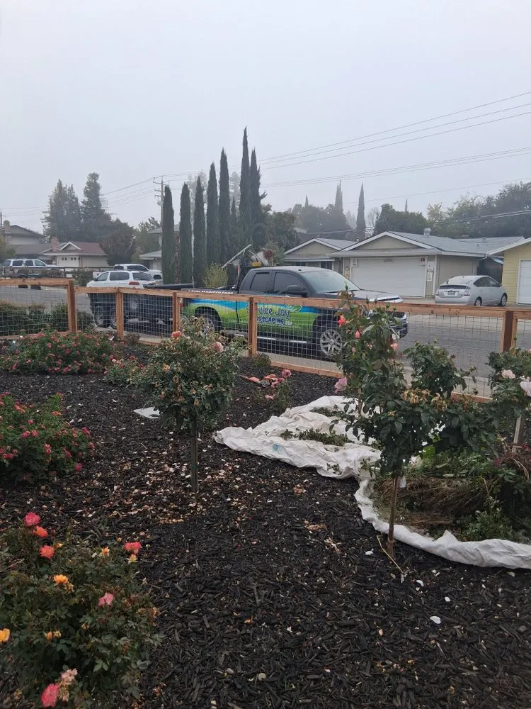 Affordable lawn care service experts serving Arden, CA - Zaharis Landscaping
