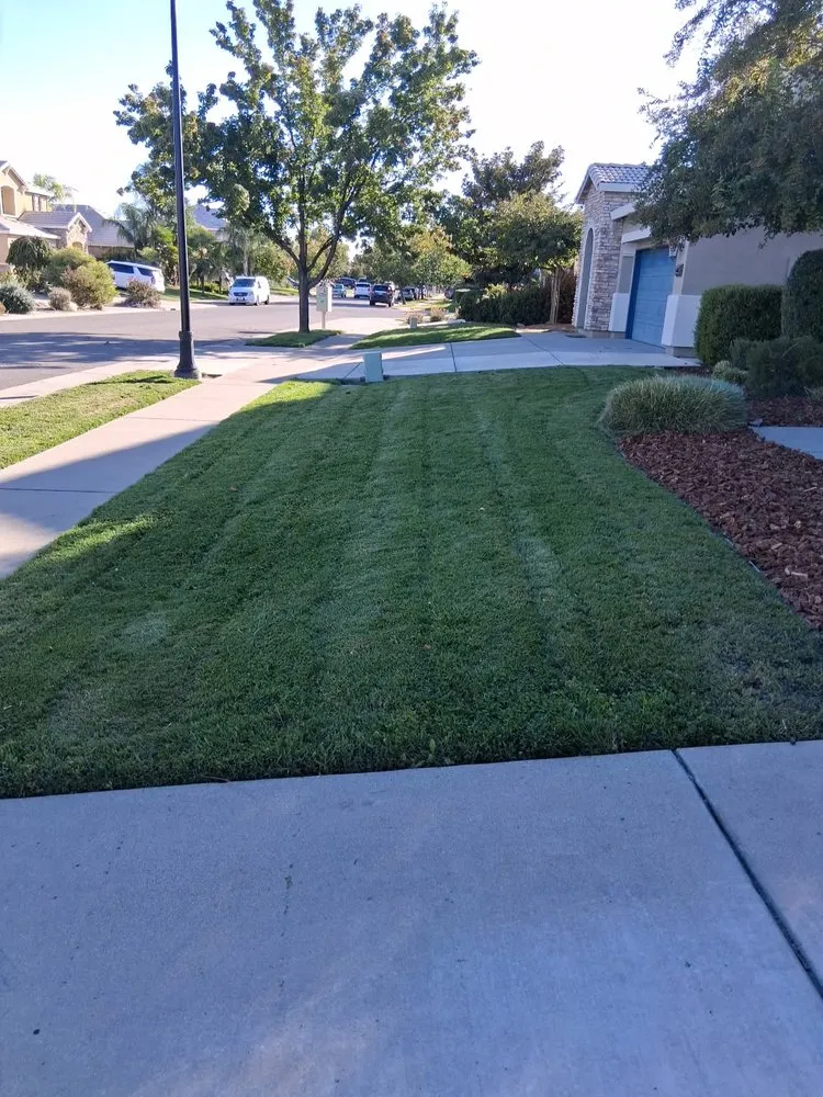 Local garden landscaping experts serving Arden, CA - Zaharis Landscaping