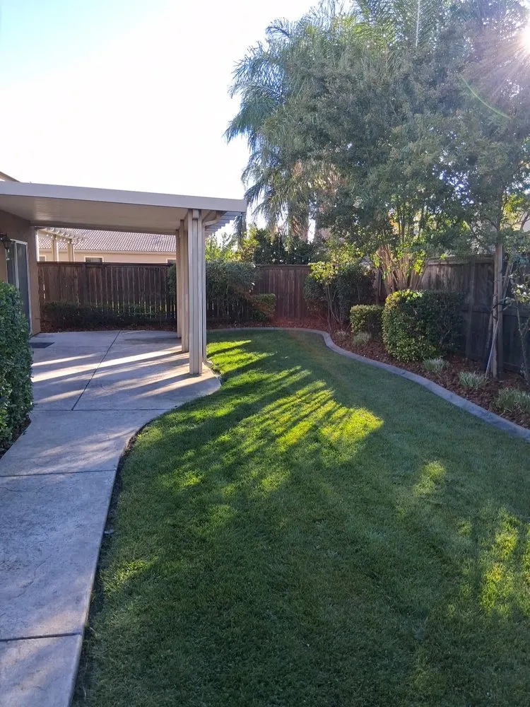 Custom yard maintenance near you across Arden, CA - Zaharis Landscaping
