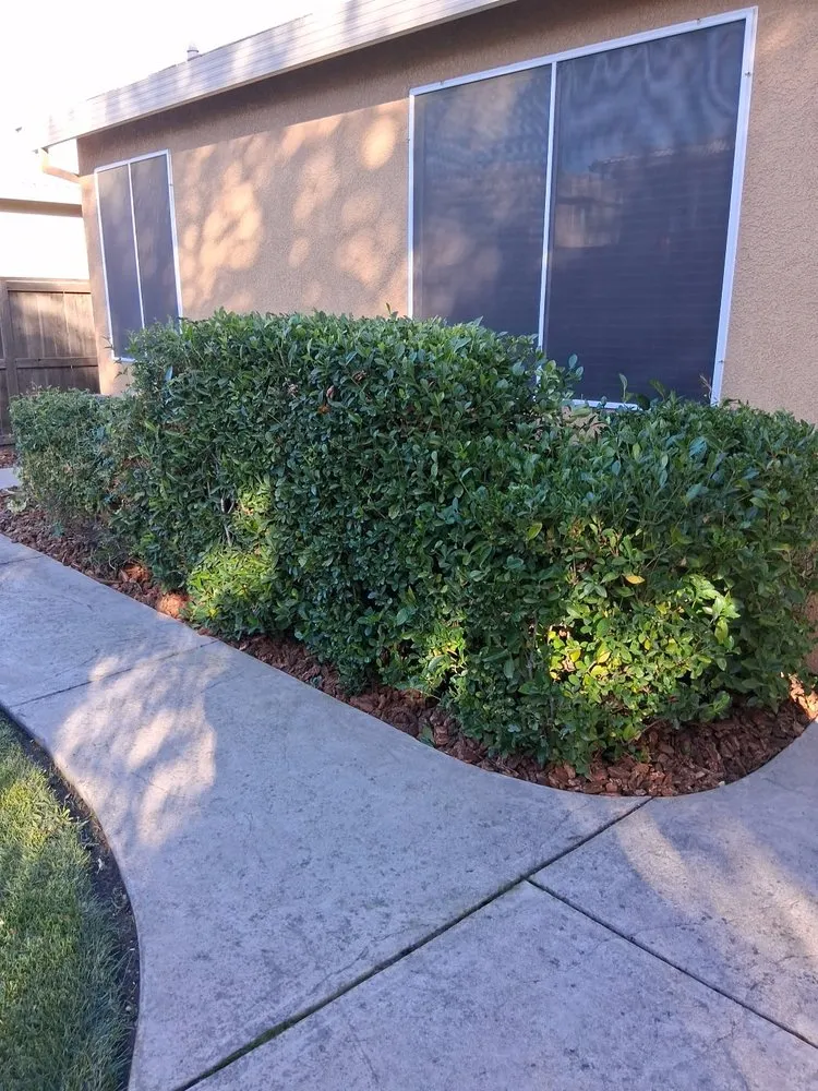 Top-rated landscape design for homes across Arden, CA - Zaharis Landscaping