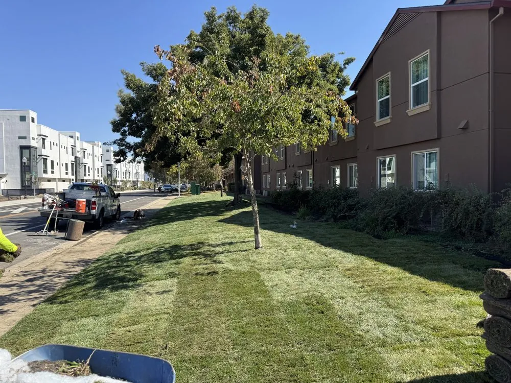 Top-rated landscape design for year-round maintenance in Arden, CA by Zaharis Landscaping