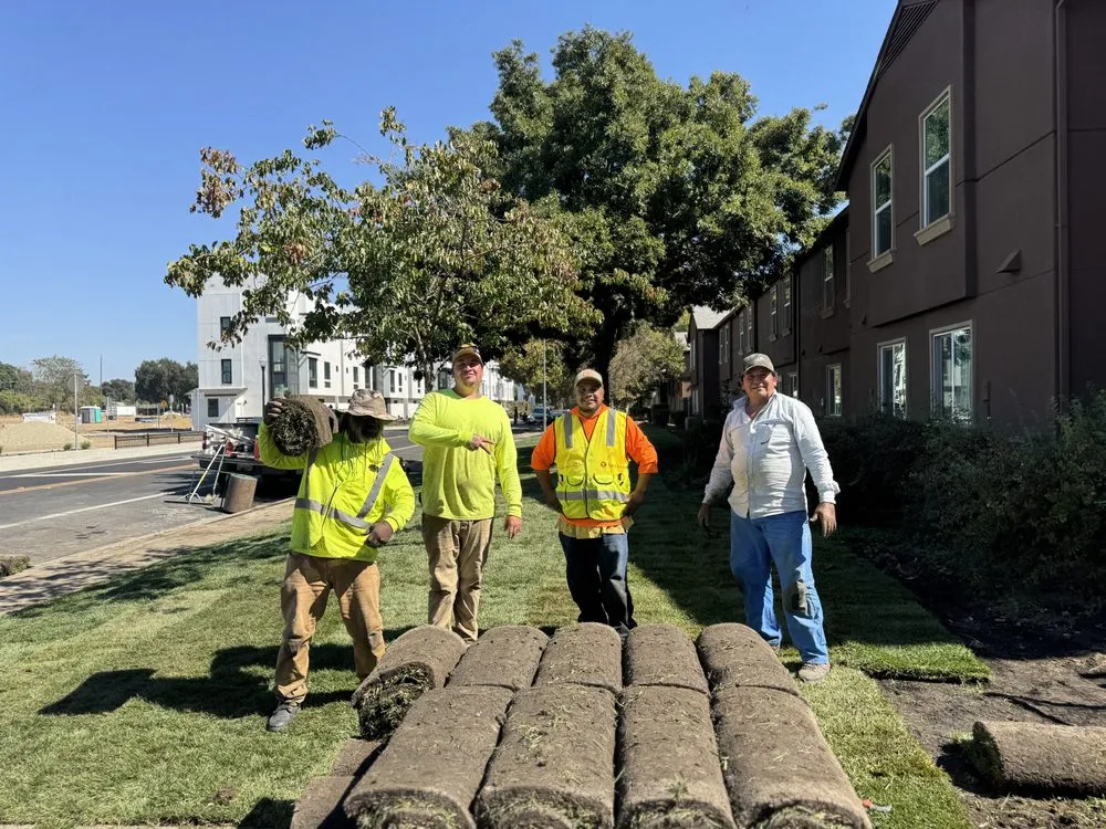 Expert landscape design with custom design across Arden, CA - Zaharis Landscaping