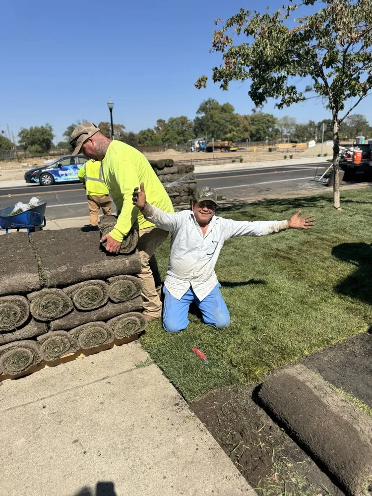 Custom outdoor landscaping in Arden, CA - Zaharis Landscaping