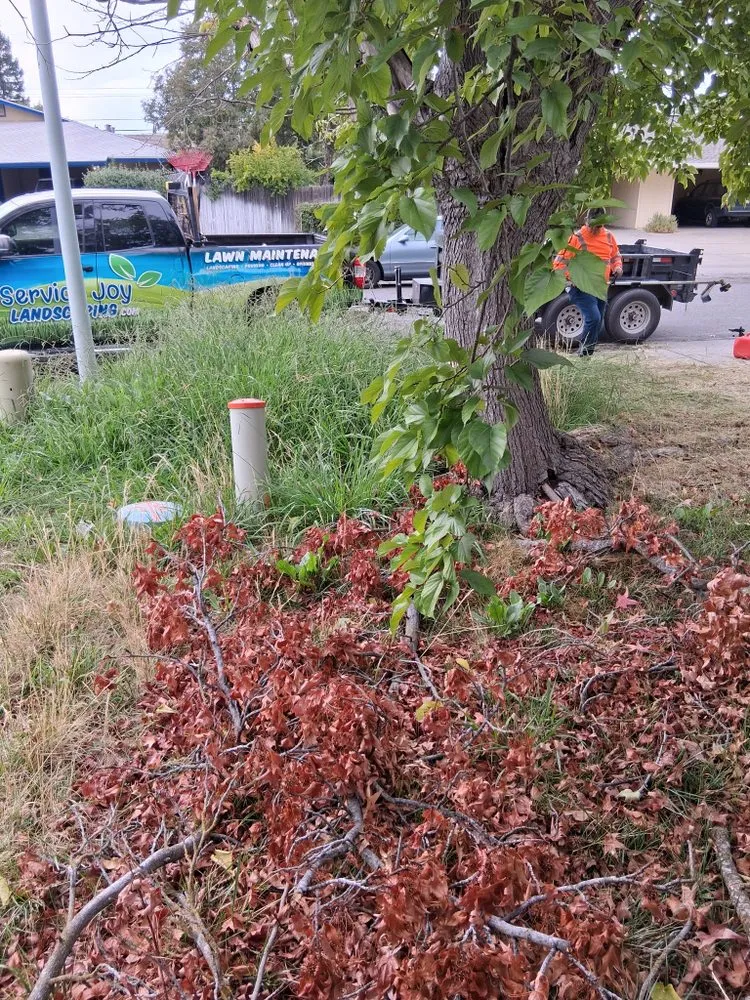 Reliable landscaping services for homes across Arden, CA - Zaharis Landscaping