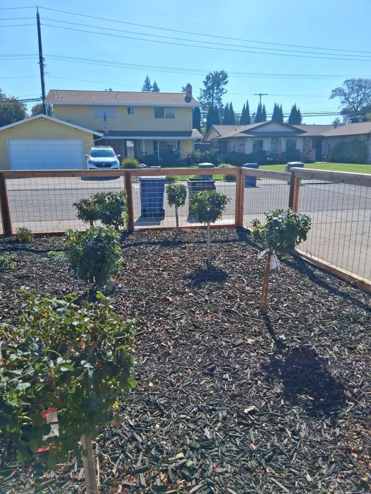 Professional landscape installation in Arden, CA by Zaharis Landscaping