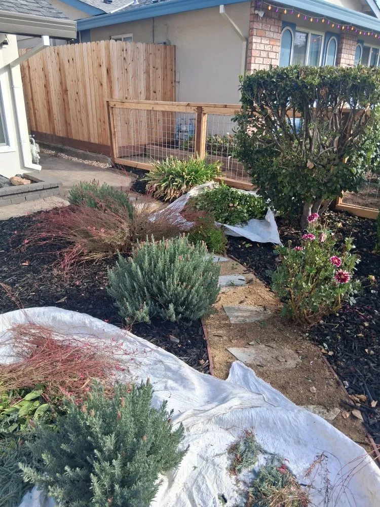 Custom garden landscaping experts serving Arden, CA - Zaharis Landscaping