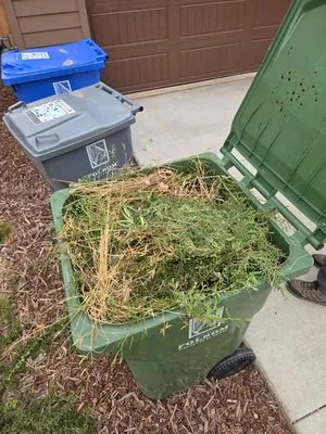 Zaharis Landscaping