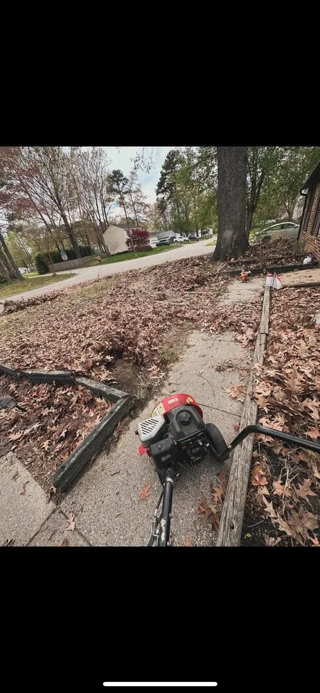 Professional landscape installation in Hampton, VA by Zahi Cares Lawn Service