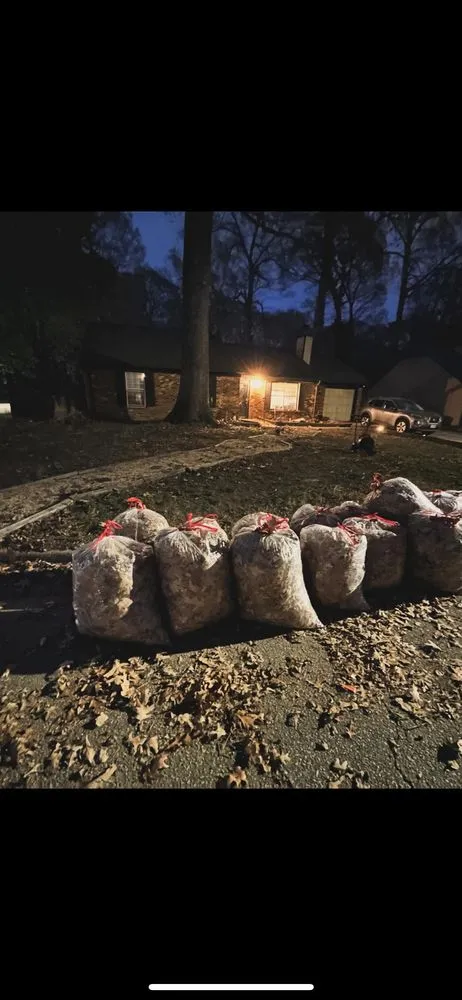 Local yard cleanup service in Hampton, VA by Zahi Cares Lawn Service