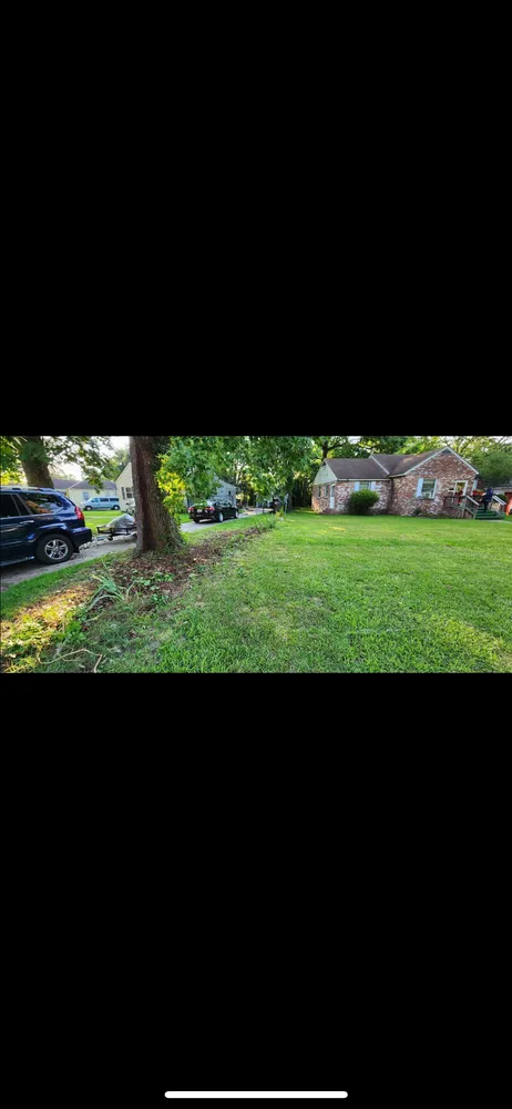 Reliable yard cleanup service experts serving Hampton, VA - Zahi Cares Lawn Service