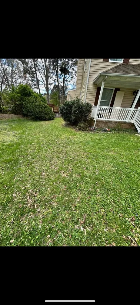 Professional outdoor landscaping in Hampton, VA by Zahi Cares Lawn Service