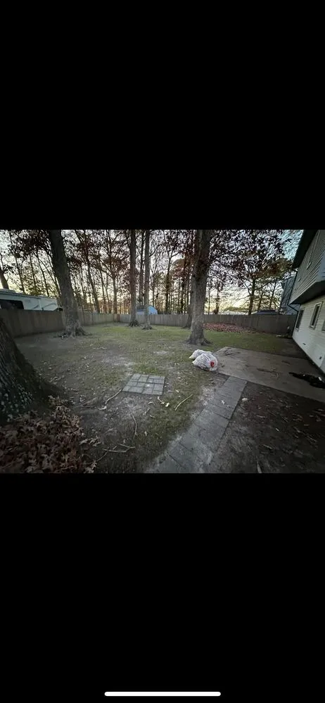 Expert landscaping services experts serving Hampton, VA - Zahi Cares Lawn Service