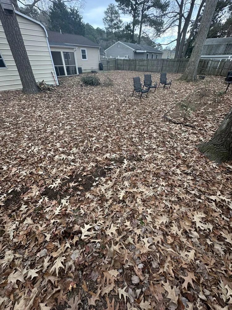 Trusted lawn care service in Hampton, VA by Zahi Cares Lawn Service