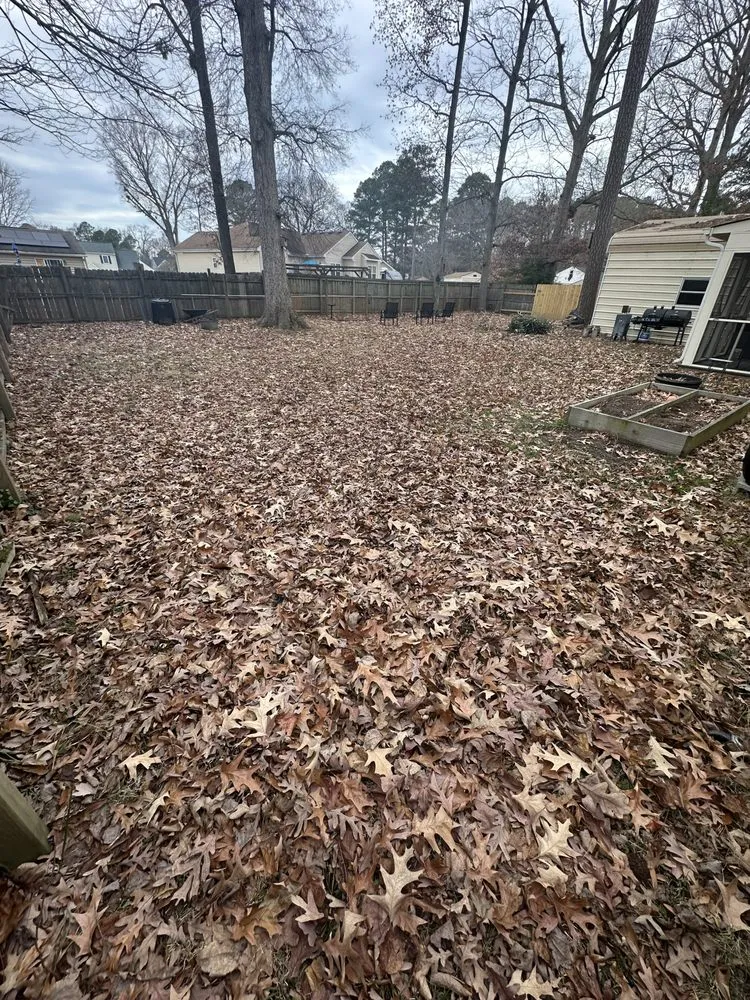 Local landscape design for year-round maintenance across Hampton, VA - Zahi Cares Lawn Service