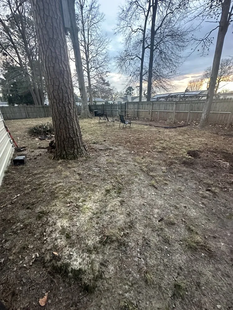 Trusted residential landscaping in Hampton, VA by Zahi Cares Lawn Service