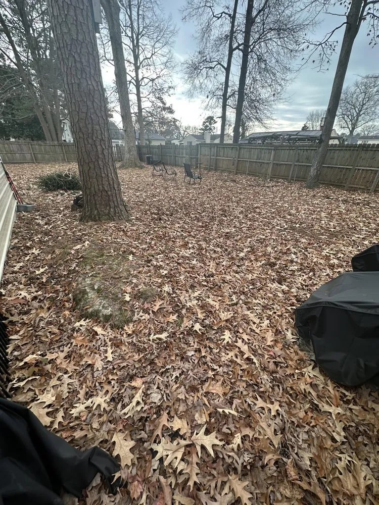 Trusted lawn care service in Hampton, VA by Zahi Cares Lawn Service