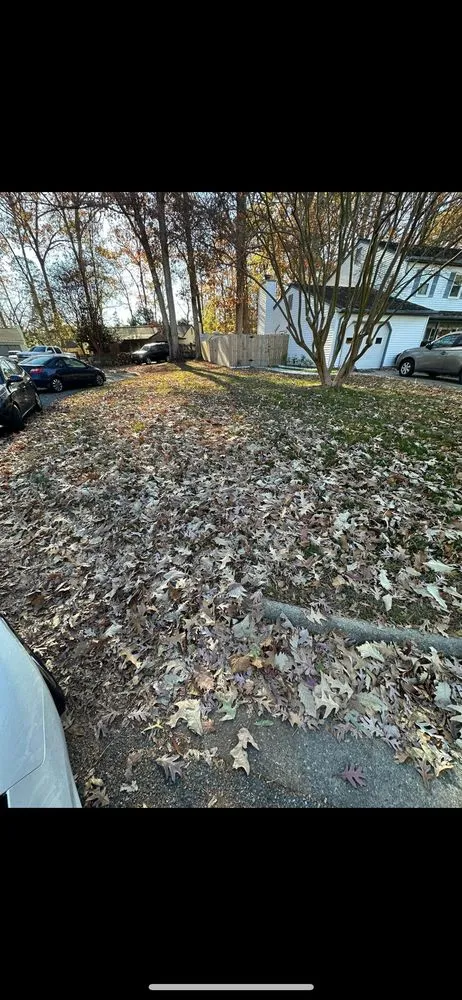 Trusted garden landscaping in Hampton, VA - Zahi Cares Lawn Service