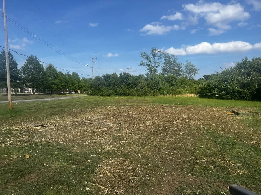 Affordable lawn care service in Collierville, TN by Zaid Land Clearing