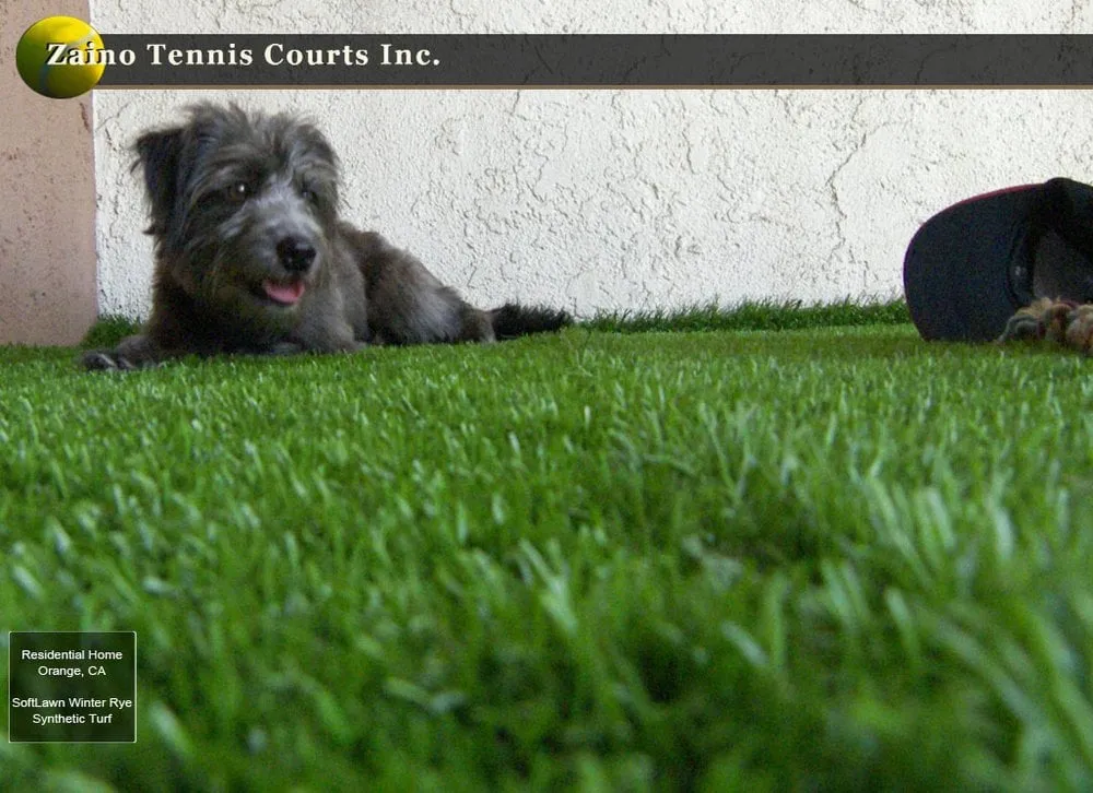 Trusted yard cleanup service experts serving Orange, CA - Zaino Tennis Courts, Inc.