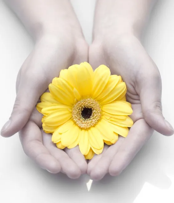 Professional residential landscaping for beautiful yards across Orange, CA - Zaino Tennis Courts, Inc.