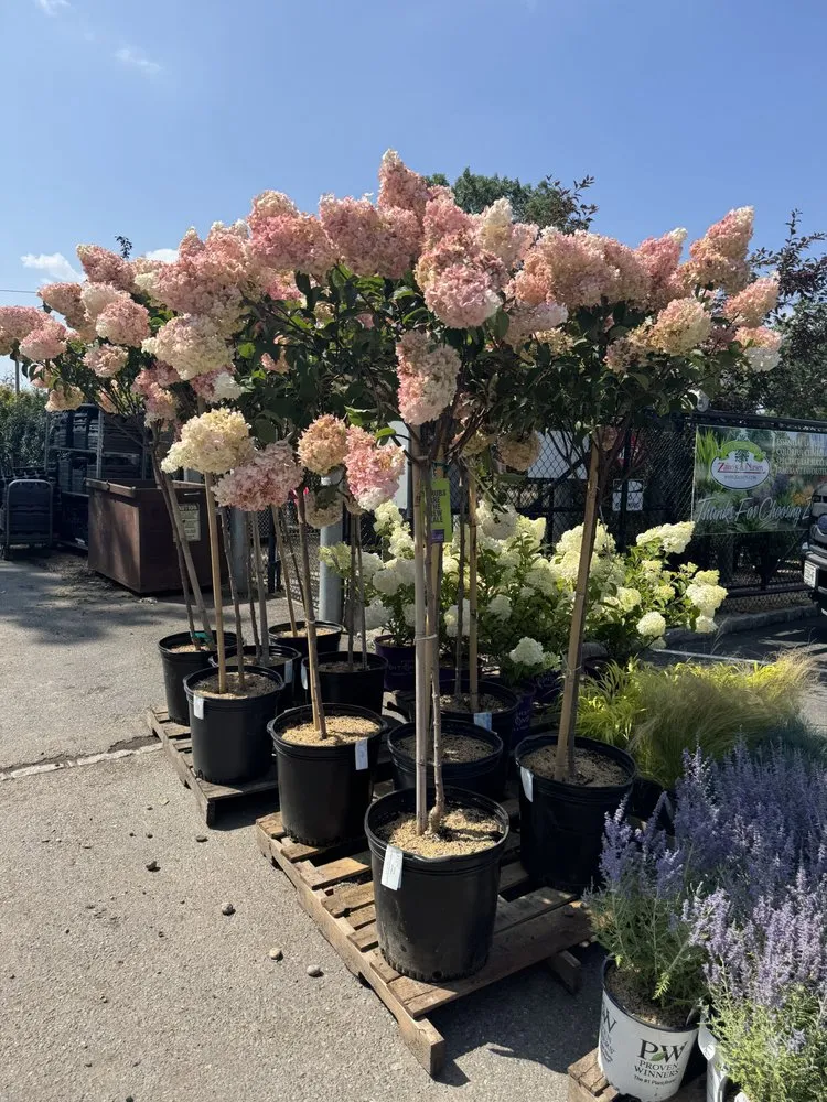 Reliable lawn care service in Westbury, NY - Zaino's Nursery & Garden Center