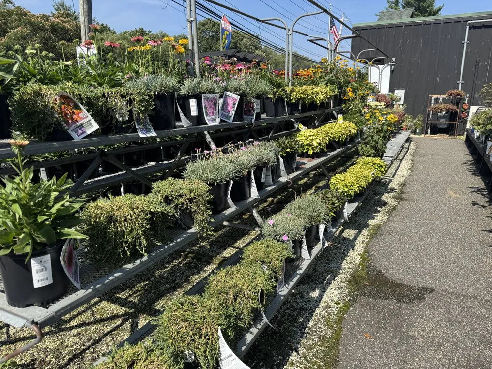 Local landscape design in Westbury, NY by Zaino's Nursery & Garden Center