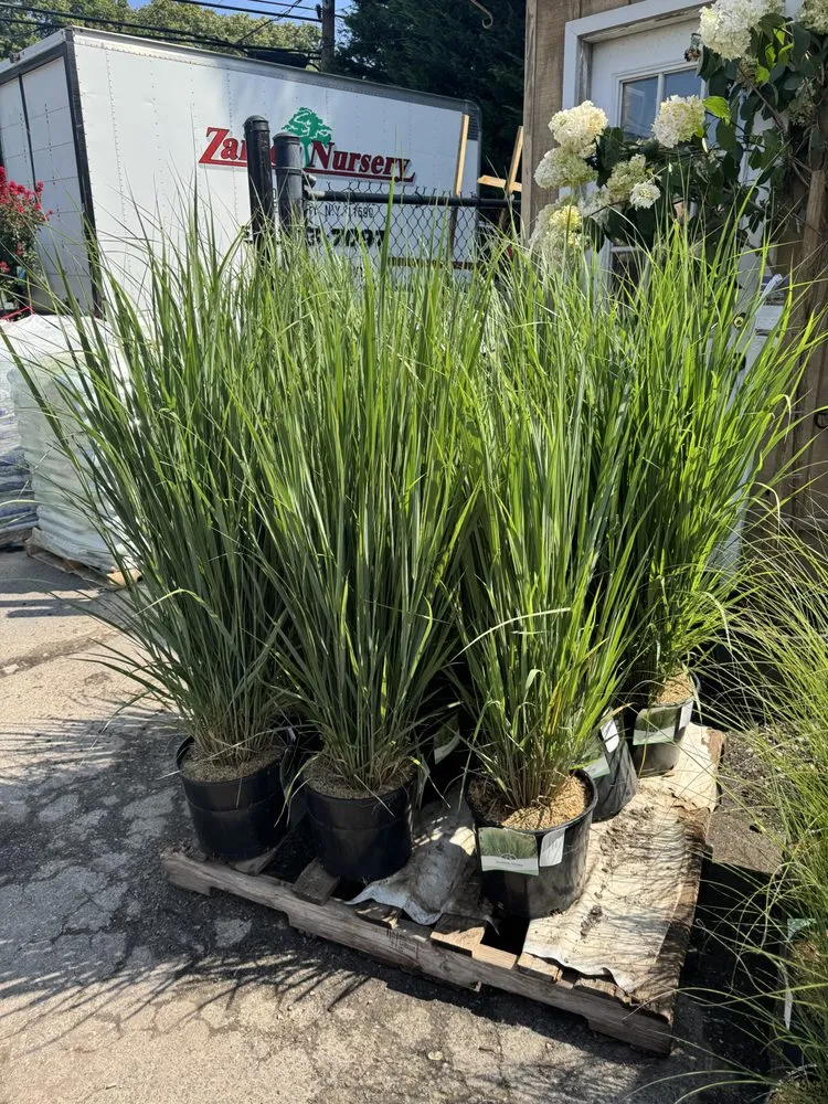 Expert landscape design with custom design in Westbury, NY by Zaino's Nursery & Garden Center