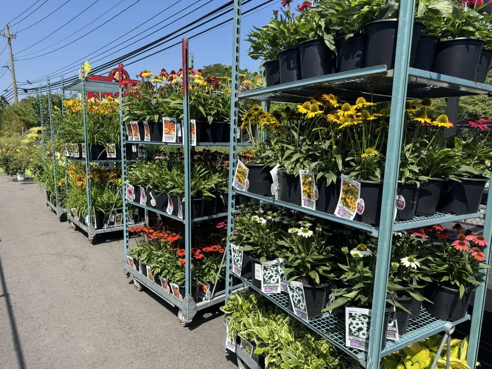 Reliable garden landscaping experts serving Westbury, NY - Zaino's Nursery & Garden Center