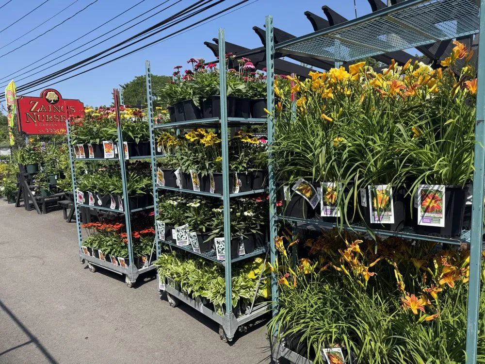 Top-rated landscape installation for outdoor upgrades in Westbury, NY by Zaino's Nursery & Garden Center