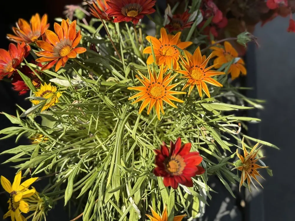 Affordable yard maintenance for residential properties across Westbury, NY - Zaino's Nursery & Garden Center