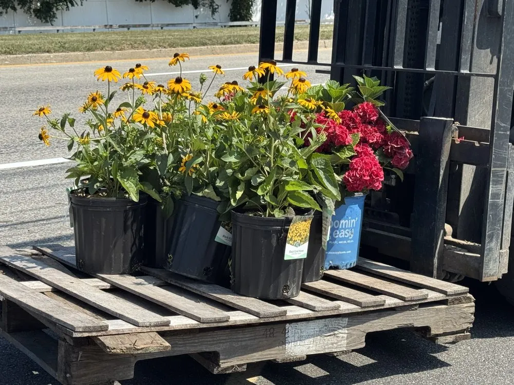 Trusted landscaping services near you in Westbury, NY by Zaino's Nursery & Garden Center