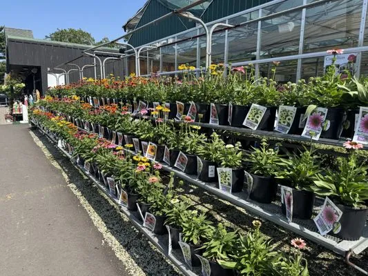 Zaino's Nursery & Garden Center