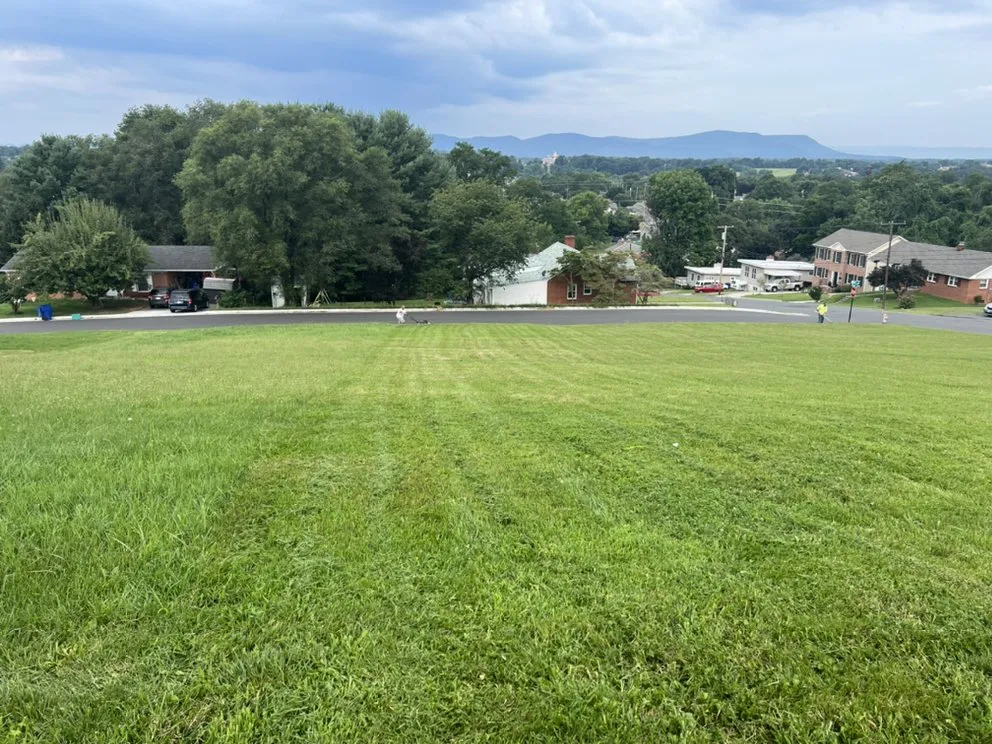 Local yard cleanup service experts serving Middletown, VA - Zaino’s Property Management