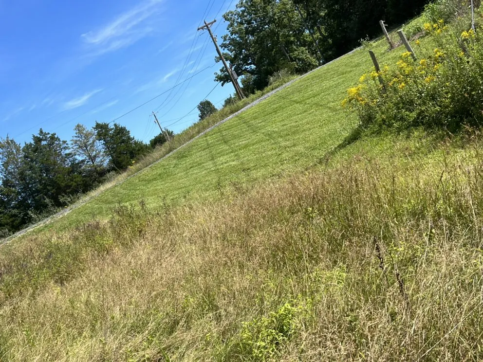 Trusted lawn care service in Middletown, VA - Zaino’s Property Management