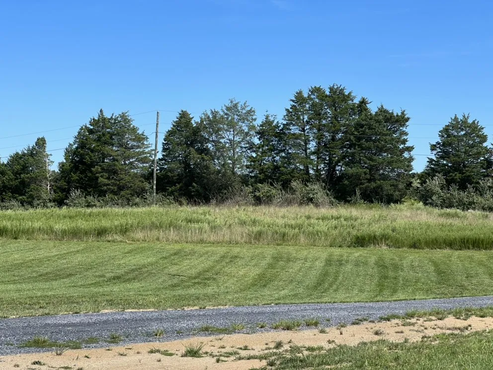 Trusted lawn mowing service experts serving Middletown, VA - Zaino’s Property Management